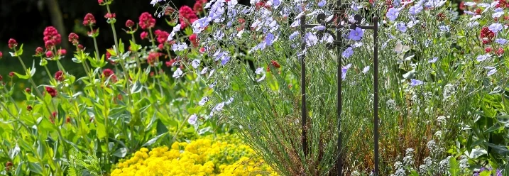 Blühender Hanggarten mit Rankhilfe